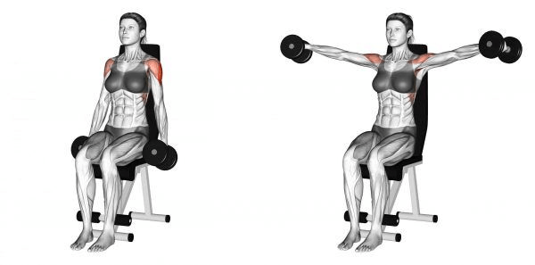 Bài tập vai Seated Lateral Raise