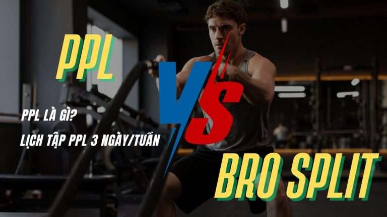 Push-pull-legs là gì? Lịch tập push-pull-legs 3 ngày/tuần, so sánh PPL với Bro split