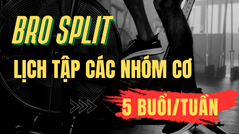 Lịch tập các nhóm cơ - bro split là gì? Giáo án tập chuẩn 5 buổi/tuần cho Gymer hiện đại