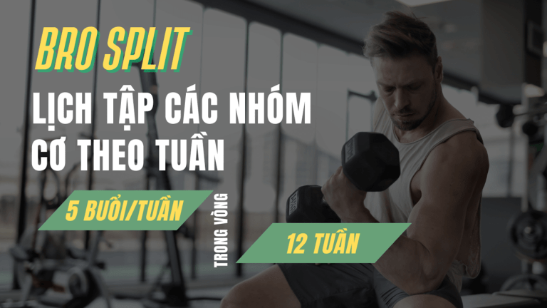 Cơ bắp săn chắc trong vòng 12 tuần nhờ theo sát chương trình tập thể hình kinh điển Bro split