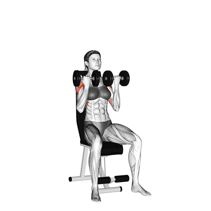 Tổng hợp các bài tập vai không thể thiếu dành cho Gymer!