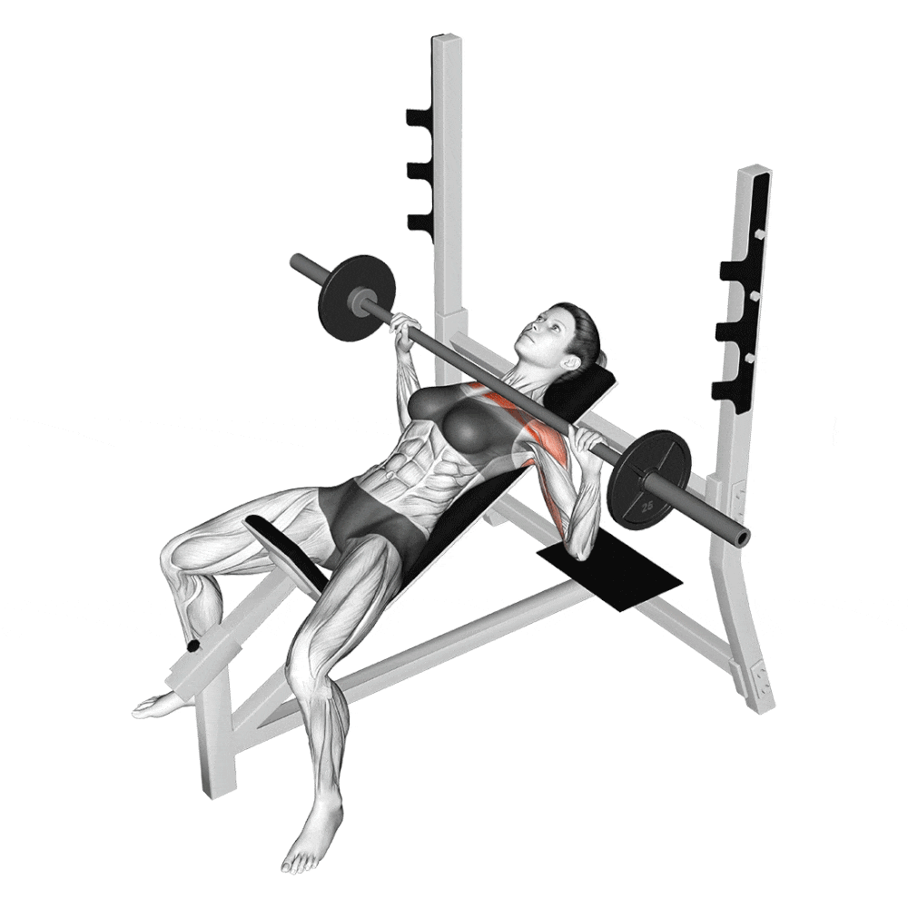 Tổng hợp các bài tập vai không thể thiếu dành cho Gymer!
