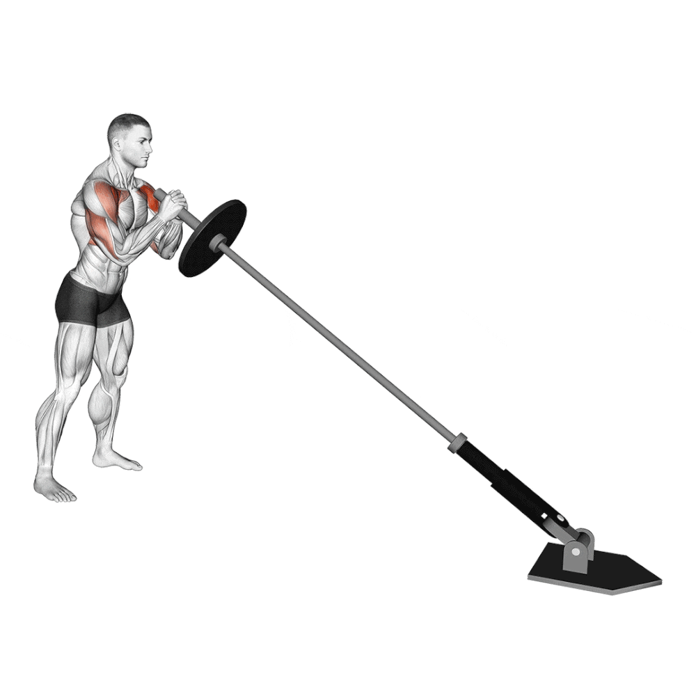 Tổng hợp các bài tập vai không thể thiếu dành cho Gymer!