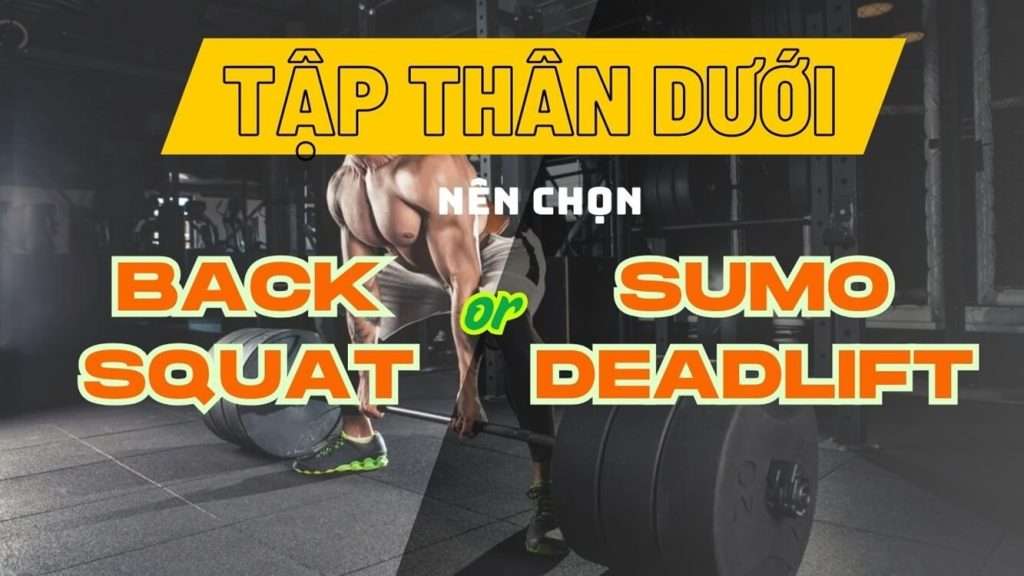 Tập thân dưới chọn bài nào? Sumo deadlift hay back squat?