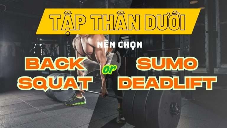 Tập thân dưới chọn bài nào? Sumo deadlift hay back squat?