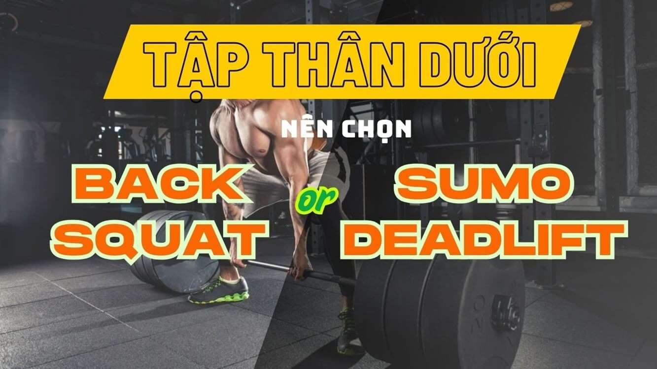 Tập thân dưới chọn bài nào? Sumo deadlift hay back squat?