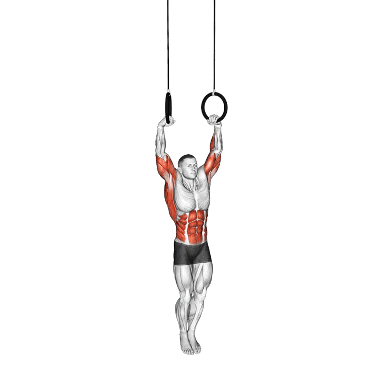 Ring Muscle Ups - Thử thách khó nhằn mà dân Calisthenics khao khát chinh phục!