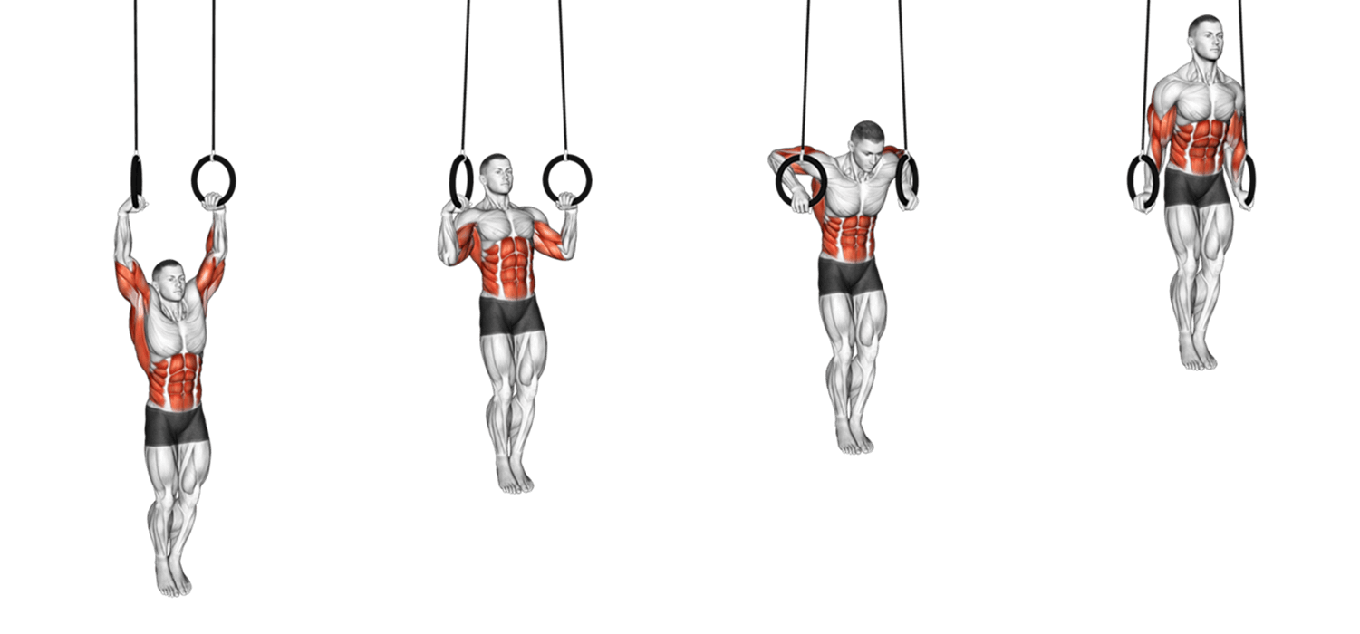 Ring Muscle Ups - Thử thách khó nhằn mà dân Calisthenics khao khát chinh phục!