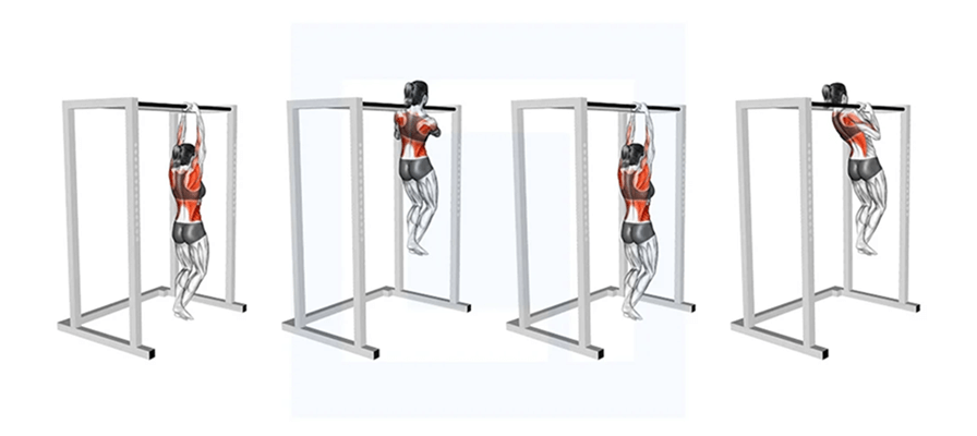 Giáo trình tập Calisthenics 5 ngày/tuần