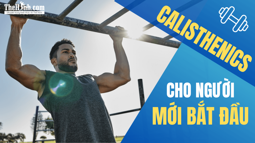 8 Bài tập Calisthenics cho người mới bắt đầu [Cực dễ]