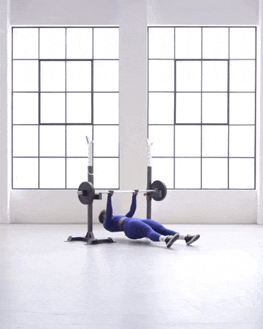 8 Bài tập Calisthenics cho người mới bắt đầu [Cực dễ]