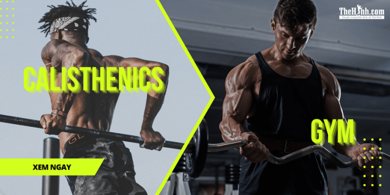 Nên tập Calisthenics hay Gym: Ưu - nhược điểm của từng bộ môn