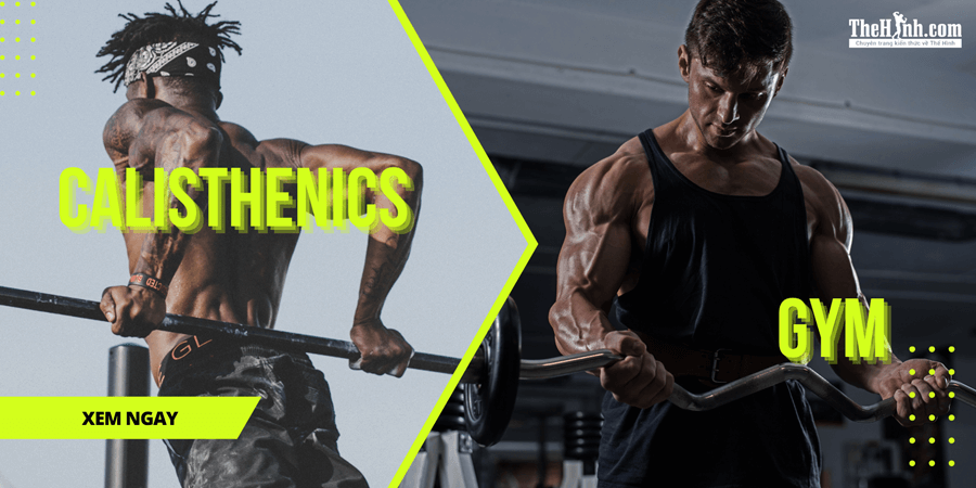 Nên tập Calisthenics hay Gym: Ưu - nhược điểm của từng bộ môn