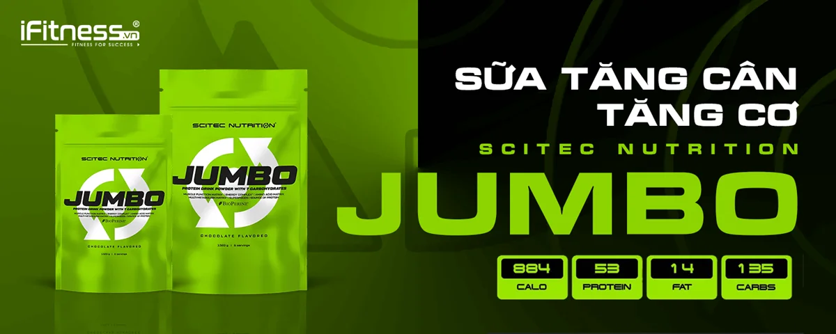 Sữa Tăng Cân Tăng Cơ Scitec Nutrition Jumbo 6600g