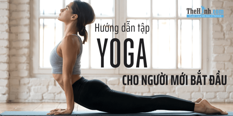 Hướng dẫn tập yoga cho người mới bắt đầu: 10 tư thế cơ bản ai cũng tập được