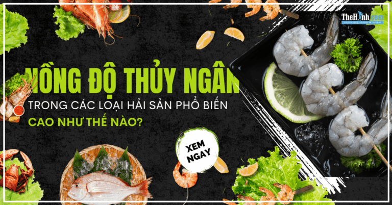 [Infographic] Top hải sản ngậm thủy ngân cao nhất và thấp nhất 2025