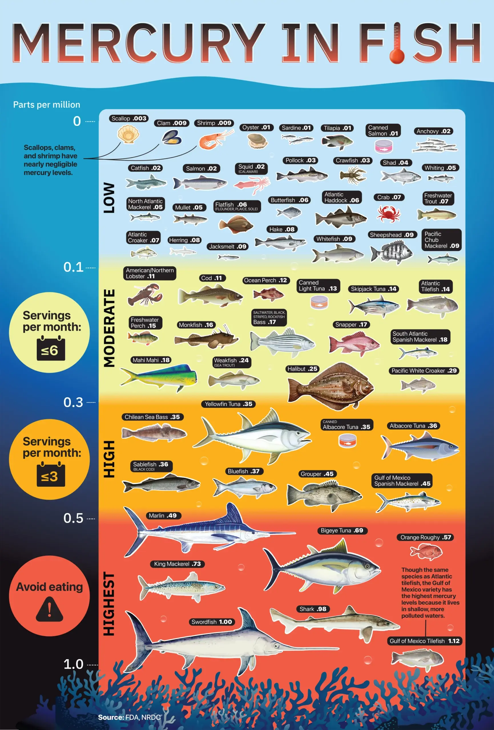 Phân Loại Mức Độ Thủy Ngân Trong Hải Sản