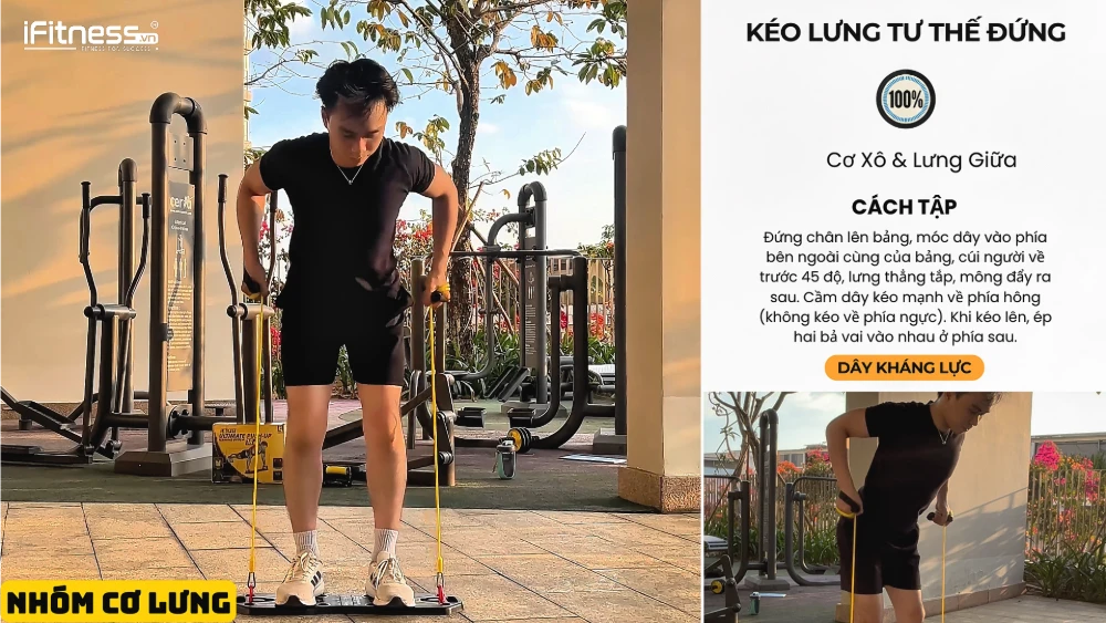co lung 1 - Bí Quyết Tập Gym Tại Nhà Cực Dễ Với Bảng Chống Đẩy: Lộ Trình 10 Tuần Chi Tiết