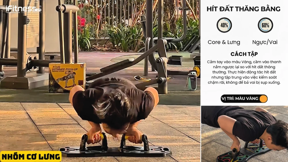 co lung 3 - Bí Quyết Tập Gym Tại Nhà Cực Dễ Với Bảng Chống Đẩy: Lộ Trình 10 Tuần Chi Tiết