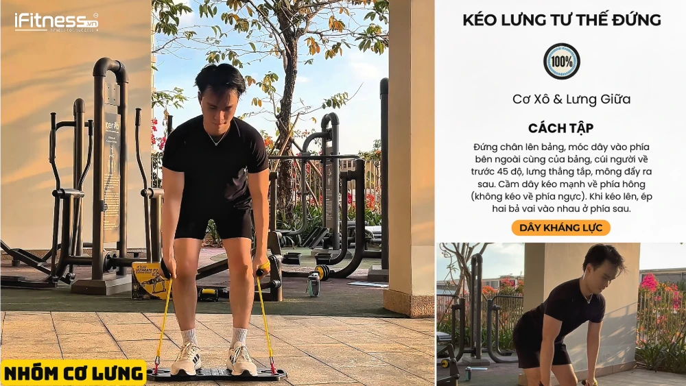 co lung 4 - Bí Quyết Tập Gym Tại Nhà Cực Dễ Với Bảng Chống Đẩy: Lộ Trình 10 Tuần Chi Tiết