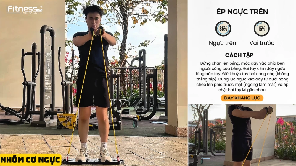 co nguc 1 - Bí Quyết Tập Gym Tại Nhà Cực Dễ Với Bảng Chống Đẩy: Lộ Trình 10 Tuần Chi Tiết