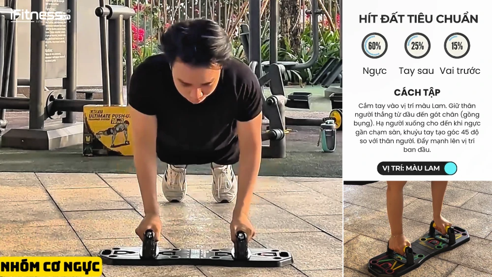 Hít đất Tiêu chuẩn (Standard Push-up)