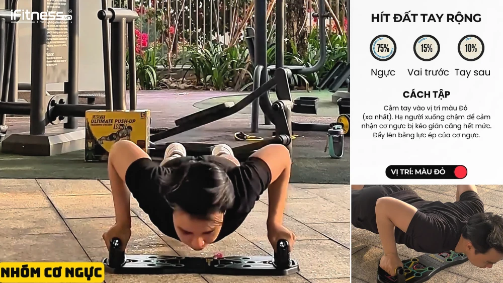 Hít đất Tay rộng (Wide Grip Push-up)