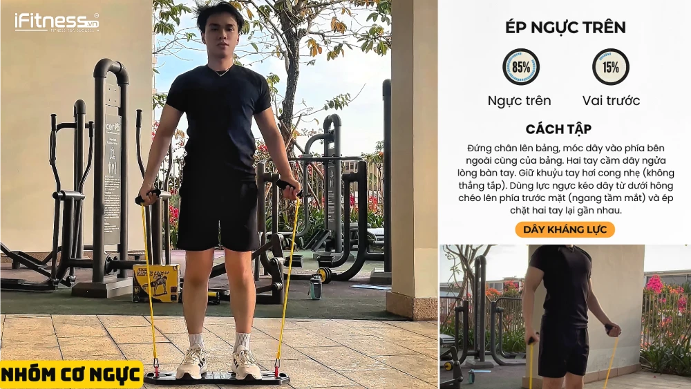 co nguc 6 - Bí Quyết Tập Gym Tại Nhà Cực Dễ Với Bảng Chống Đẩy: Lộ Trình 10 Tuần Chi Tiết