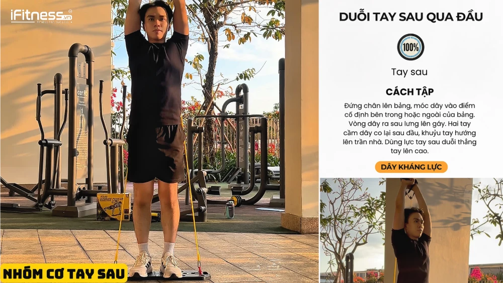 co tay sao 1 - Bí Quyết Tập Gym Tại Nhà Cực Dễ Với Bảng Chống Đẩy: Lộ Trình 10 Tuần Chi Tiết