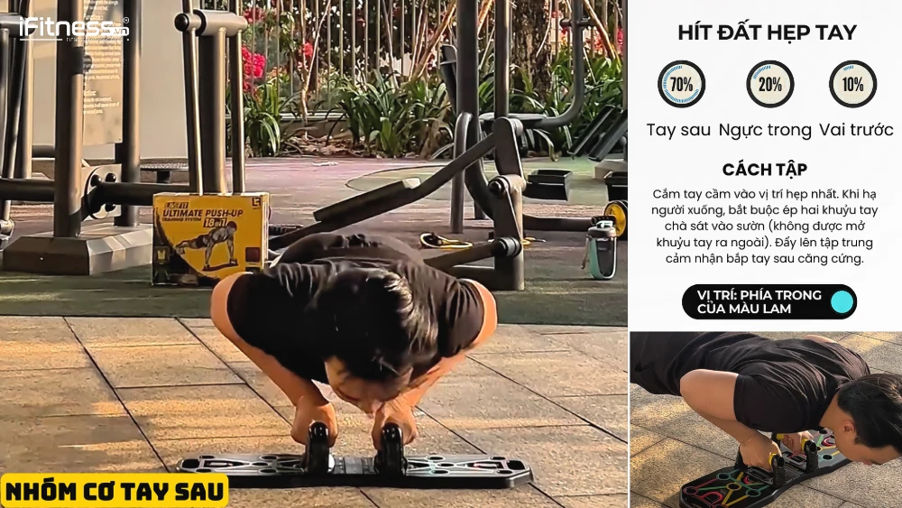 co tay sao 5 - Bí Quyết Tập Gym Tại Nhà Cực Dễ Với Bảng Chống Đẩy: Lộ Trình 10 Tuần Chi Tiết