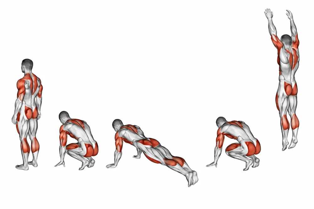Burpee