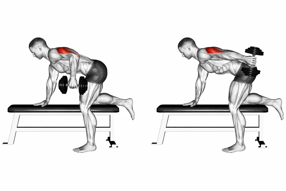 Dumbbell Triceps Kickback