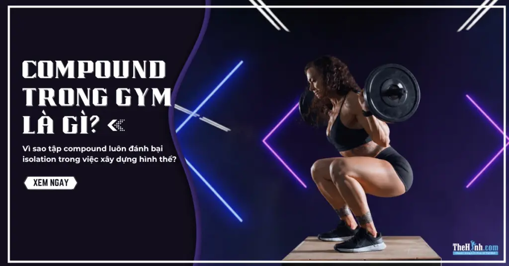 Bài tập compound trong gym là gì? Vì sao tập compound luôn đánh bại isolation trong việc xây dựng hình thể?