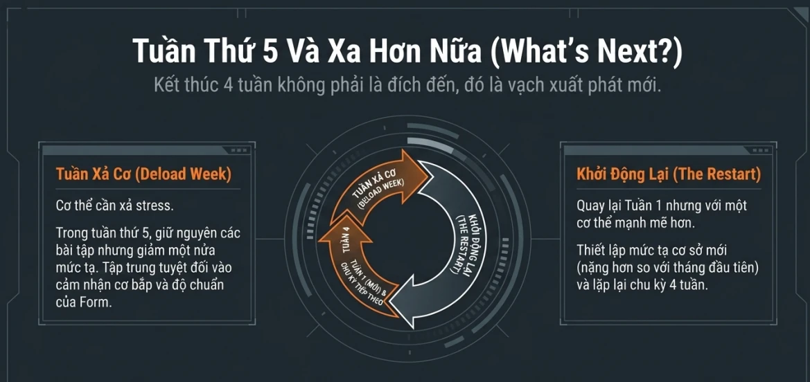 Chiến dịch 4 tuần đánh bay bụng bia cho các Daddy