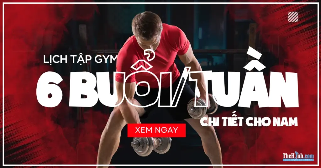 Trọn bộ lịch tập gym 6 buổi cho nam minh họa chi tiết