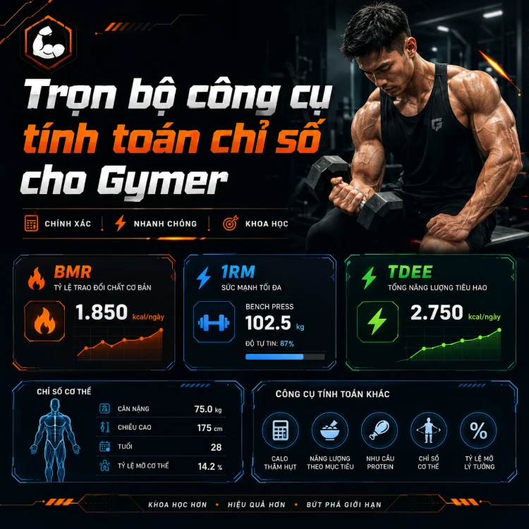 Trọn bộ công cụ tính toán cho GFymer