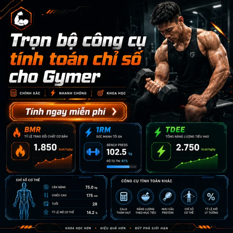 Trọn bộ công cụ tính toán cho GFymer