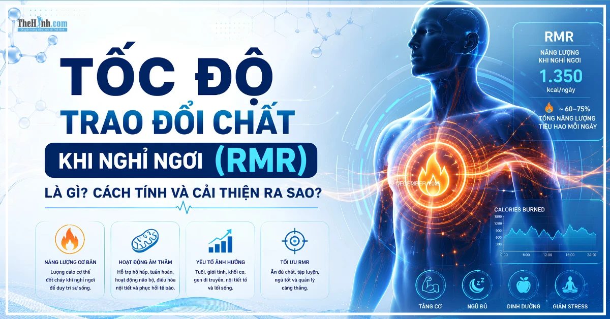 rmr la gi - Tốc độ trao đổi chất khi nghỉ ngơi (RMR) là gì? Cách tính và cải thiện ra sao? Tốc độ trao đổi chất khi nghỉ ngơi (RMR) là gì? Cách tính và cải thiện ra sao?